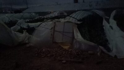 Mersin'in Bozyazı ilçesinde meydana gelen hortum nedeniyle muz ve sebze