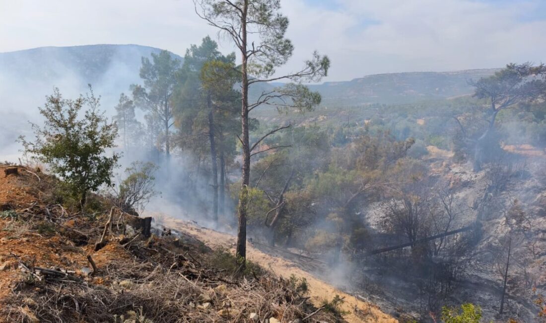  Mersin'in Gülnar ilçesinde yabani otları temizlemek için bahçede ateş yakan