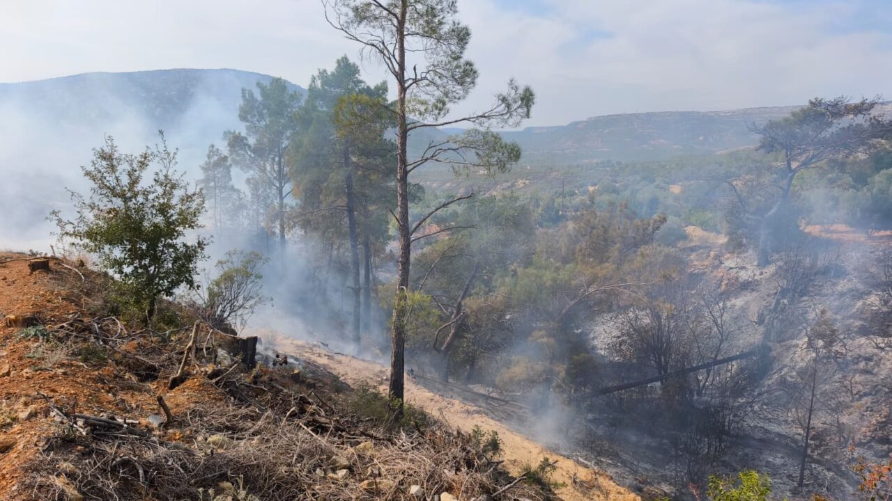  Mersin'in Gülnar ilçesinde yabani otları temizlemek için bahçede ateş yakan