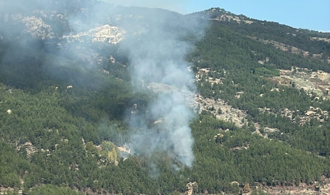 Muğla'nın Kavaklıdere ilçesinde ormanlık alanda çıkan yangına havadan ve karadan