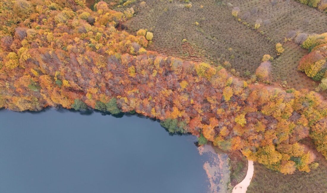 Ordu'nun Gölköy ilçesinde sonbahar renklerinin hakim olduğu Ulugöl Tabiat Parkı,