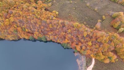 Ordu'nun Gölköy ilçesinde sonbahar renklerinin hakim olduğu Ulugöl Tabiat Parkı,