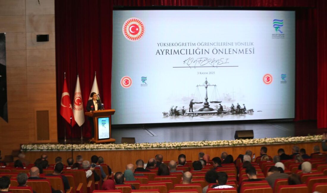 Türkiye Büyük Millet Meclisi (TBMM) İnsan Haklarını İnceleme Komisyonu Başkanı