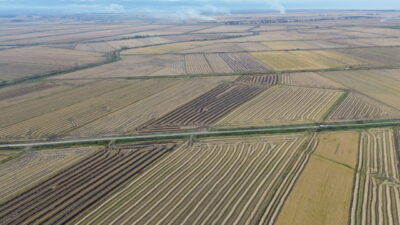 Samsun'da gerçekleştirilen çeltik hasadında sona yaklaşıldı.