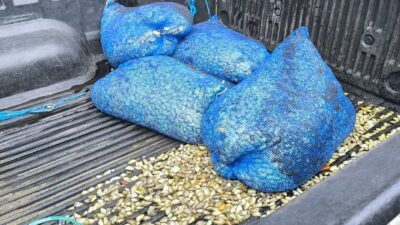 Samsun'un Terme ilçesinde denizde çuvallara saklanmış halde 200 kilogram kum