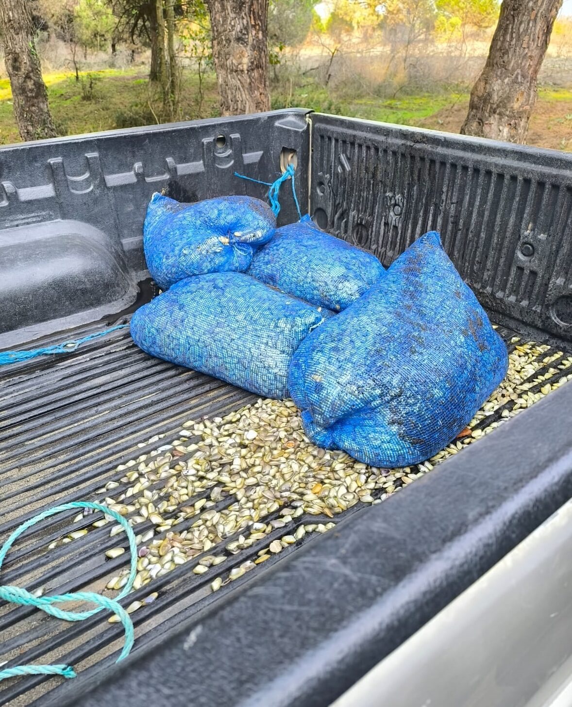 Samsun'un Terme ilçesinde denizde çuvallara saklanmış halde 200 kilogram kum