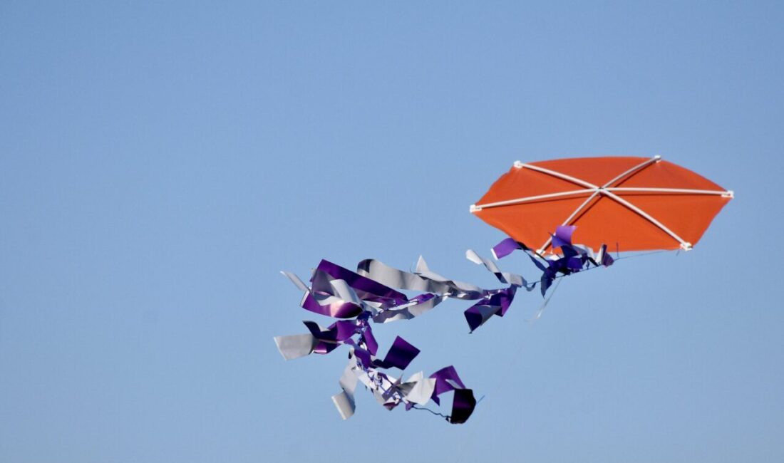 Samsun'da Lösemili Çocuklar Sağlık ve Eğitim Vakfı (LÖSEV) gönüllülerince, Lösemili