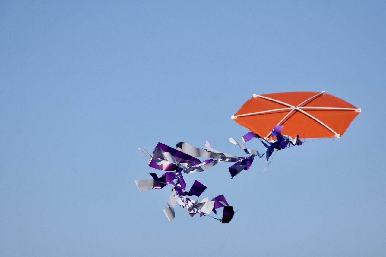 Samsun'da Lösemili Çocuklar Sağlık ve Eğitim Vakfı (LÖSEV) gönüllülerince, Lösemili