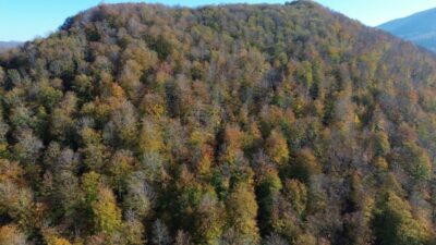  Samsun'un Bafra ilçesinde yer alan ve yaz aylarında uluslararası etkinliklere