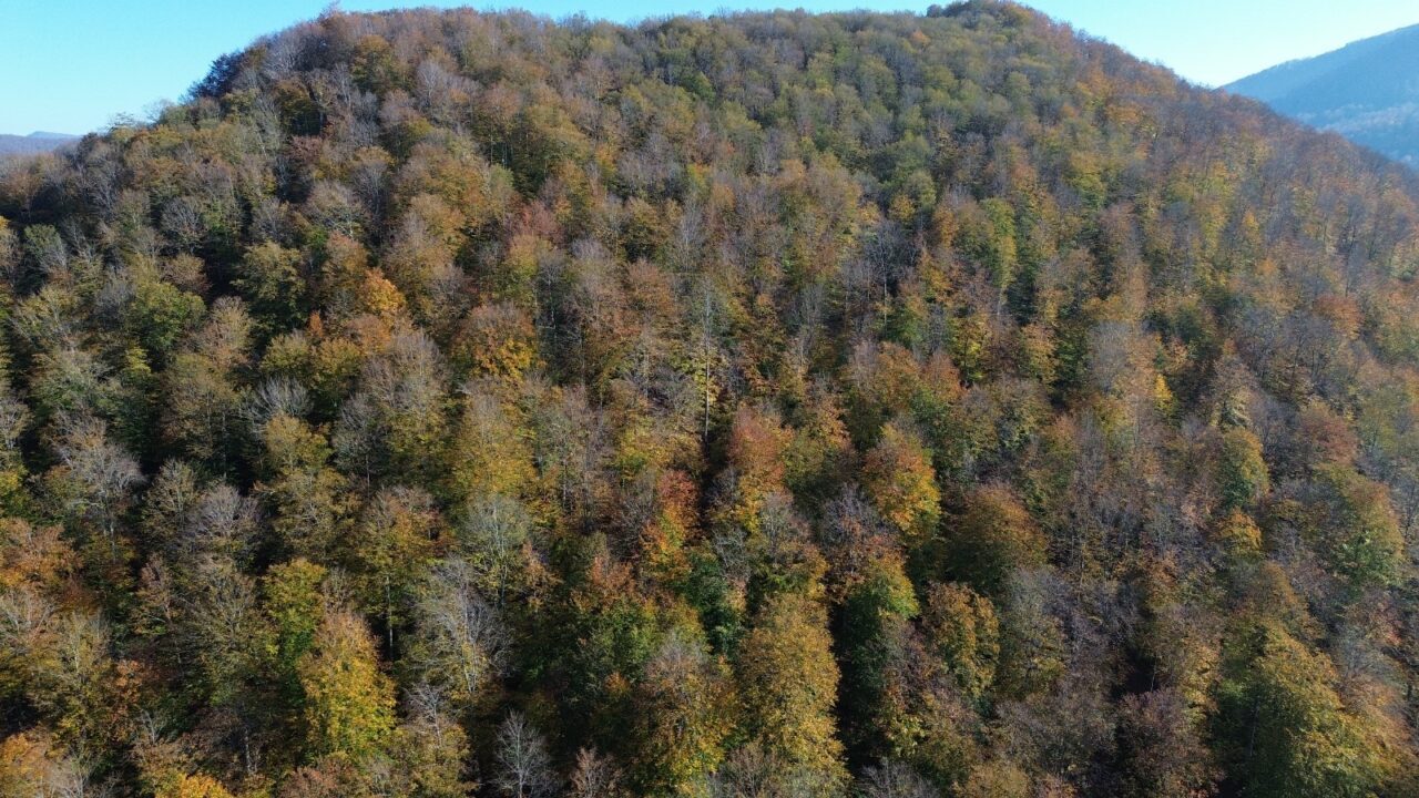  Samsun'un Bafra ilçesinde yer alan ve yaz aylarında uluslararası etkinliklere