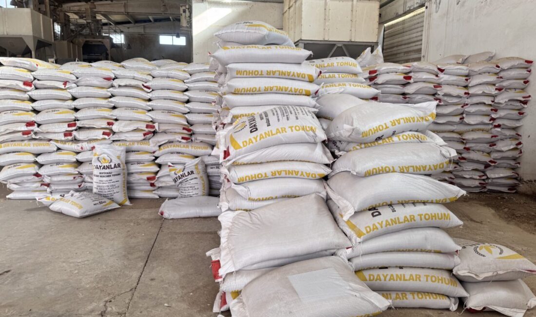 Siirt'te 588 çiftçiye yüzde 75 hibe desteğiyle 203 ton sertifikalı