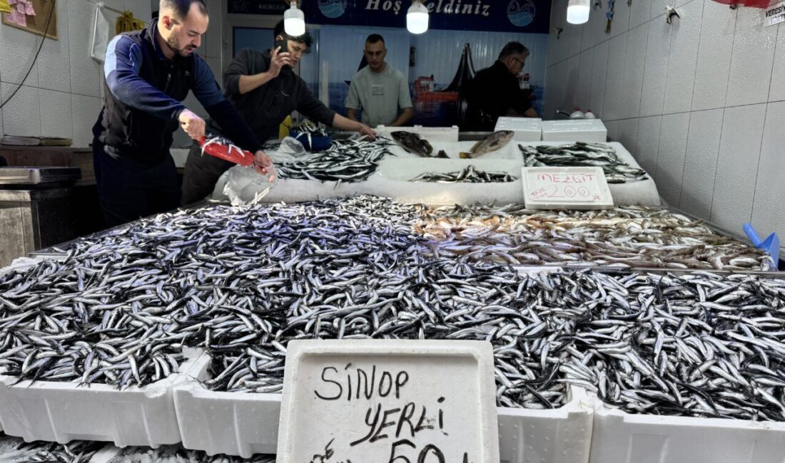  Karadeniz'de bol miktarda avlanan hamsi, Sinop'ta tezgahlarda kilogramı 50 liradan