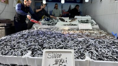  Karadeniz'de bol miktarda avlanan hamsi, Sinop'ta tezgahlarda kilogramı 50 liradan