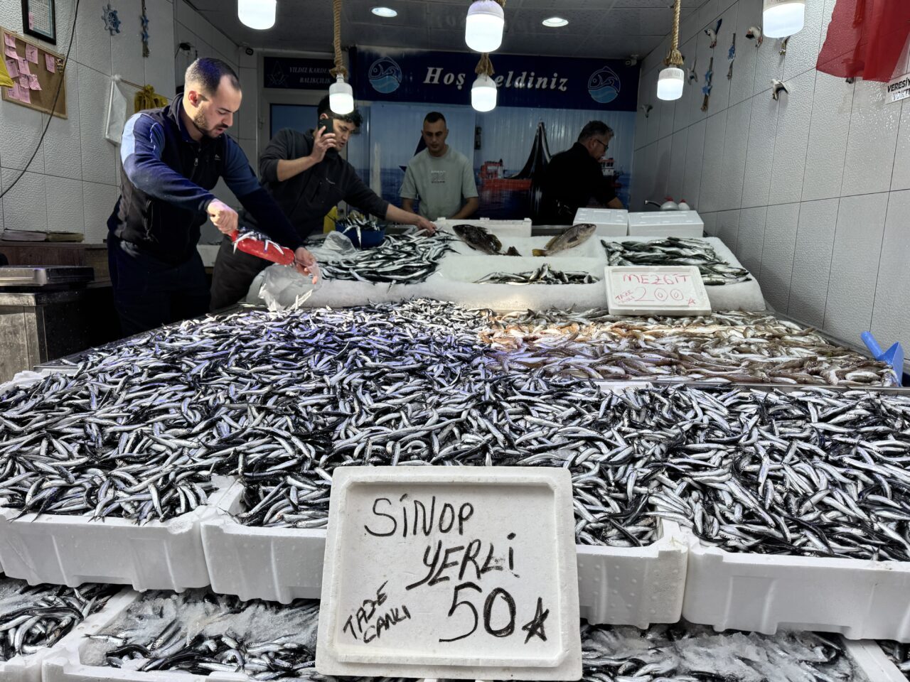  Karadeniz'de bol miktarda avlanan hamsi, Sinop'ta tezgahlarda kilogramı 50 liradan
