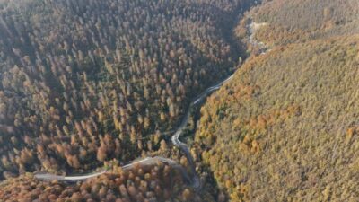 Sinop'un Türkeli ilçesinde ormanlık alanlar, sonbaharın gelişiyle sarı, turuncu ve
