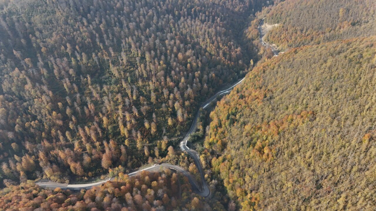 Sinop'un Türkeli ilçesinde ormanlık alanlar, sonbaharın gelişiyle sarı, turuncu ve