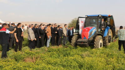 Şırnak'ın Silopi ilçesinde yer fıstığı hasat şenliği düzenlendi.