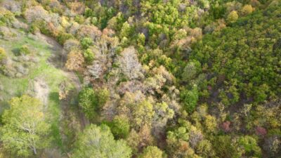 Tekirdağ'da Ganos Dağı eteklerinde sonbahar renklerine bürünen ormanlar, doğada huzurlu