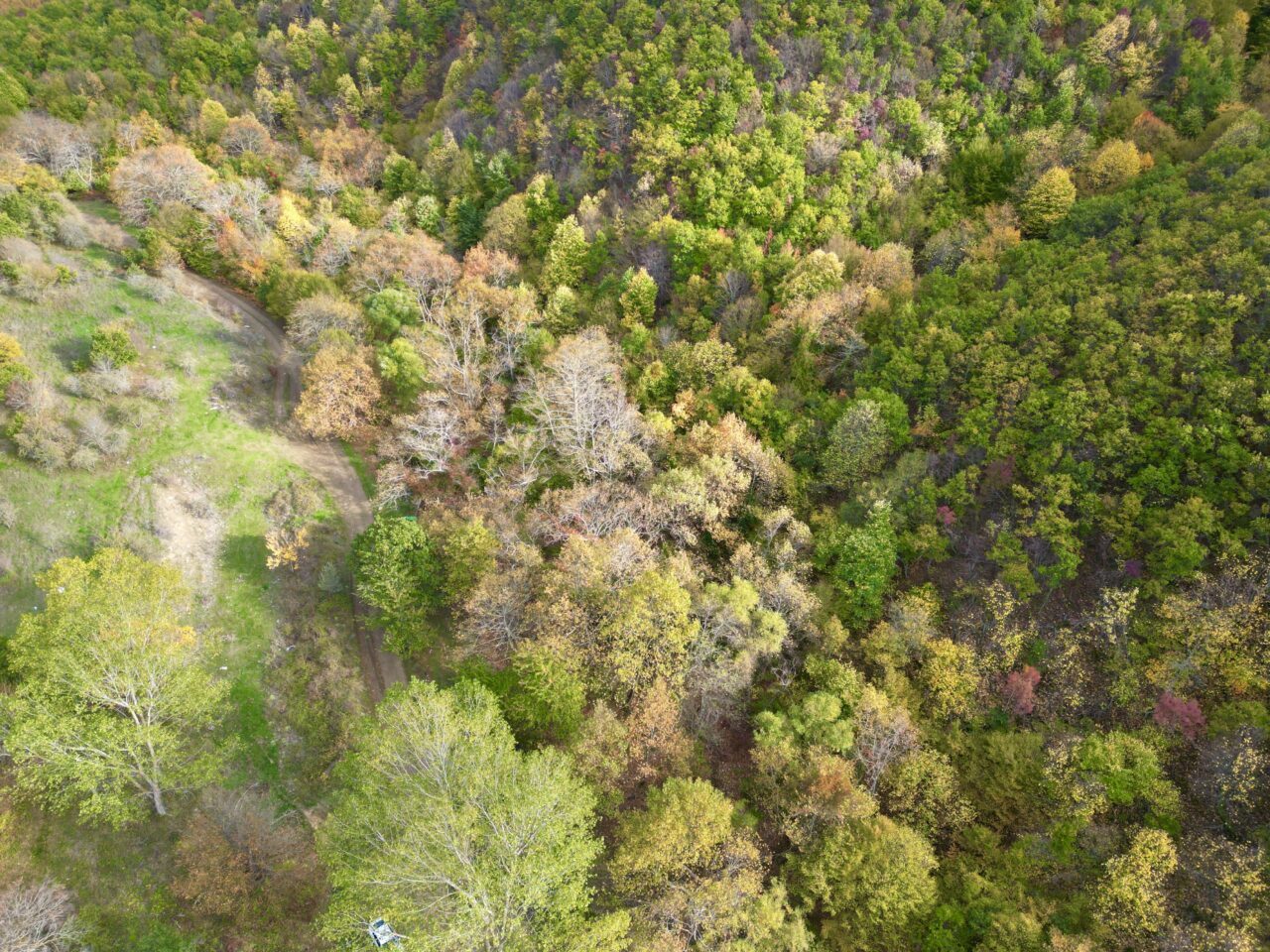 Tekirdağ'da Ganos Dağı eteklerinde sonbahar renklerine bürünen ormanlar, doğada huzurlu