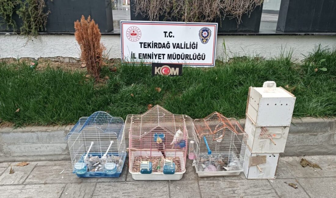 Tekirdağ'da yasa dışı yollarla yurda getirildiği belirlenen 7 papağan ile