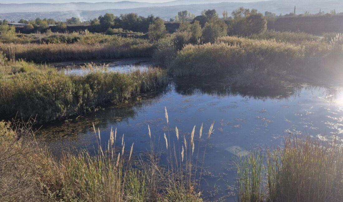 Tokat’ın Erbaa ilçesinde gölete düşen otomobilin sürücüsü yaralandı.