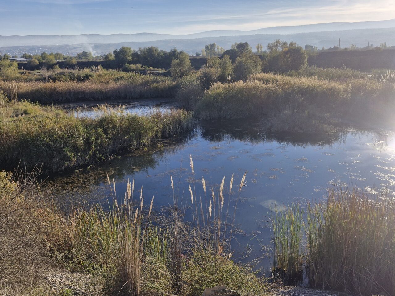 Tokat’ın Erbaa ilçesinde gölete düşen otomobilin sürücüsü yaralandı.