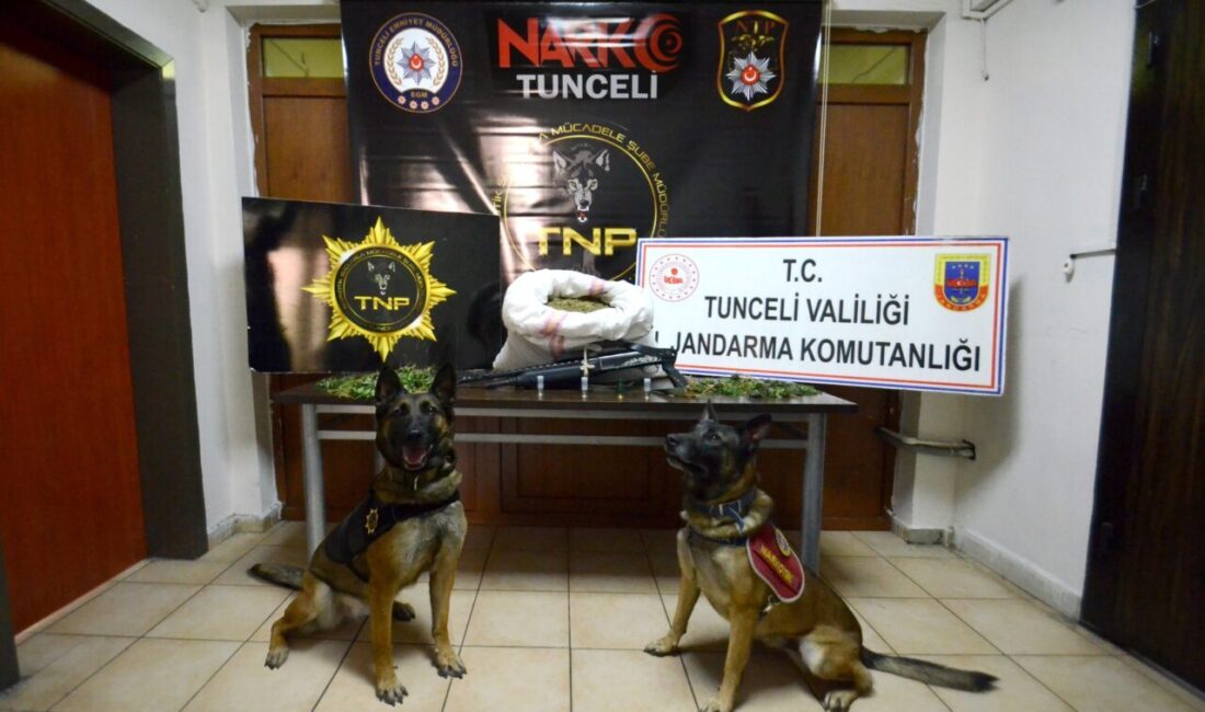 Tunceli merkezli 3 ilde düzenlenen uyuşturucu operasyonunda 2 şüpheli gözaltına
