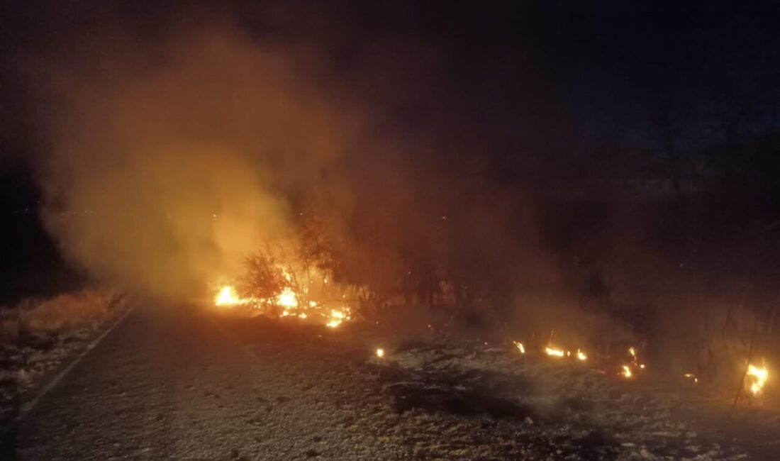 Tunceli'nin Çemişgezek ilçesinde otluk alanda çıkan yangın, itfaiye ekiplerinin müdahalesiyle