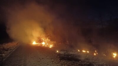 Tunceli'nin Çemişgezek ilçesinde otluk alanda çıkan yangın, itfaiye ekiplerinin müdahalesiyle