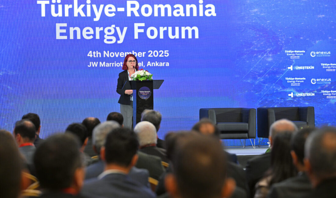 Türkiye Elektrik Sanayi Birliği (TESAB) Genel Sekreteri Ayten Sümer, Türkiye