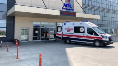 Muğla’nın Seydikemer ilçesinde aynı evde yaşayan üç kardeş, yedikleri tavuk