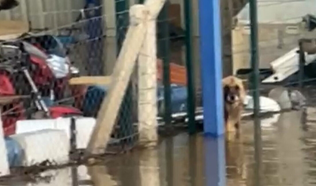 İzmir-İstanbul Otoyolu’nun Turgutlu-Akhisar kesiminde etkili olan sağanak yağış sonrası oluşan