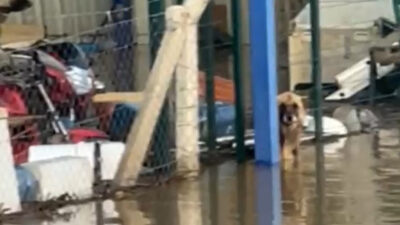 İzmir-İstanbul Otoyolu’nun Turgutlu-Akhisar kesiminde etkili olan sağanak yağış sonrası oluşan