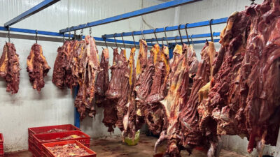 Ankara Cumhuriyet Başsavcılığı, Tarım ve Orman Bakanlığı’nın suç duyurusu üzerine