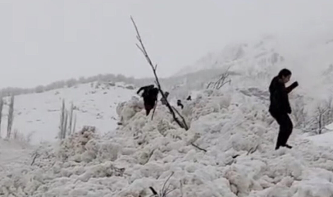 Hakkari’nin Yüksekova ilçesine bağlı Yeşiltaş köyünde dün meydana gelen çığın