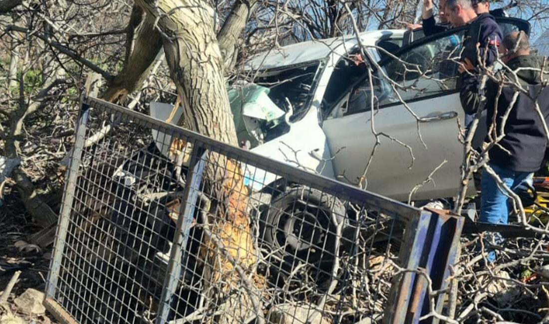 Aydın’ın Bozdoğan ilçesinde kontrolden çıkan otomobilin yol kenarındaki ağaçlara çarpması