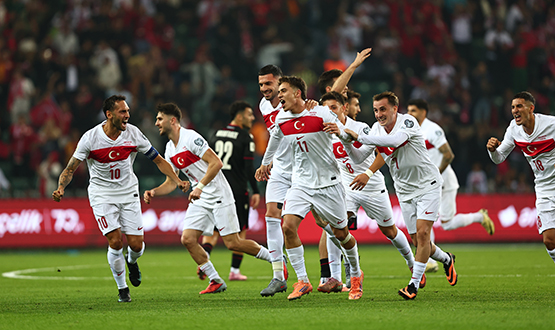 Türkiye Millî Futbol Takımı, Dünya Kupası’nda D Grubu’nda yer alarak