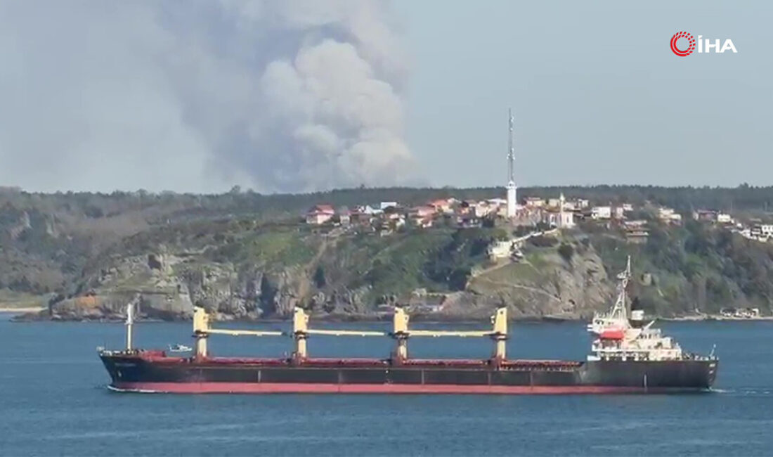 Beykoz’daki ormanlık alanda çıkan yangın, ekiplerin müdahalesiyle kontrol altına alındı.