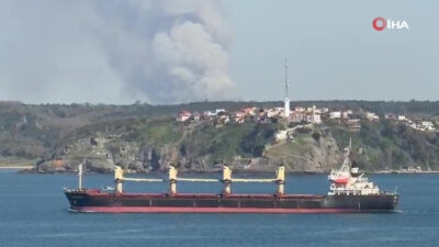 Beykoz’daki ormanlık alanda çıkan yangın, ekiplerin müdahalesiyle kontrol altına alındı.