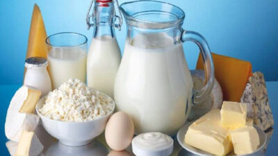 TÜİK'in Mart ayına ilişkin süt ve süt ürünleri üretimi verileri