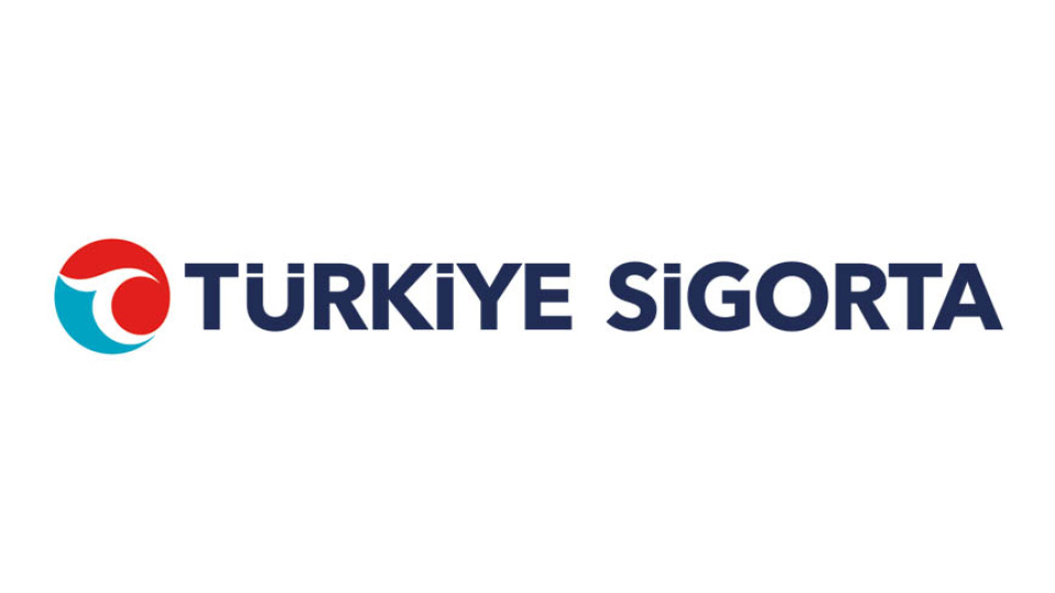 TVF Finansal Yatırımlar, Türkiye Sigorta'daki payların yüzde 5'lik kısmını yabancılara