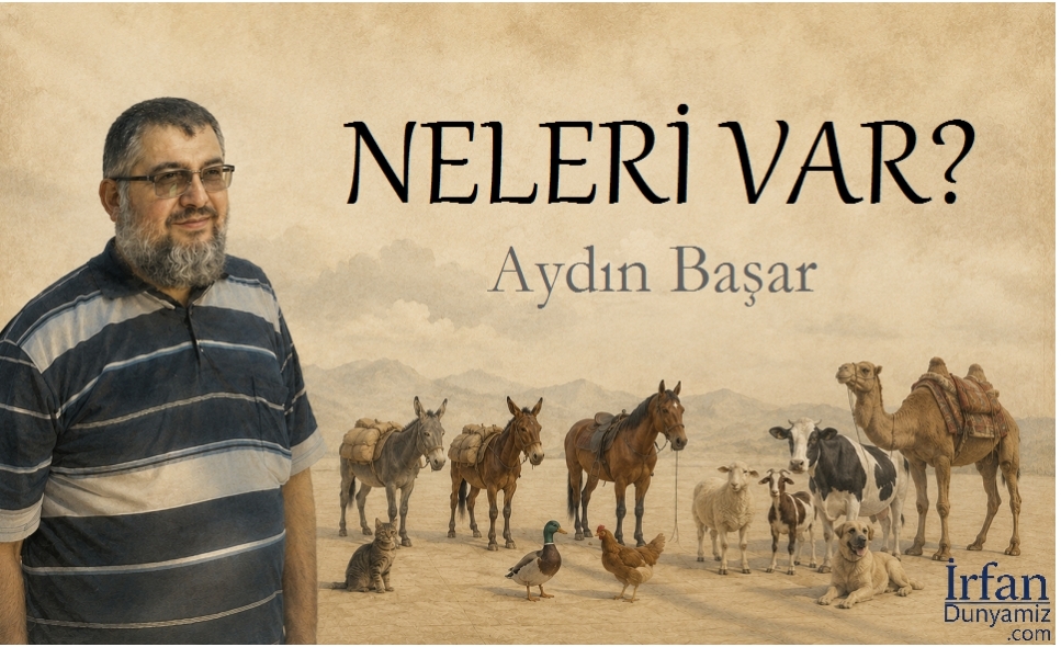 Çayırda yayılır bol et verirler. İnsana faydalı nimet verirler. İlahi