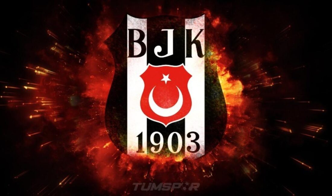 Beşiktaş GAİN, bir sakatlık açıklaması yaptı. Siyah-beyazlılar, pivot oyuncu Ante