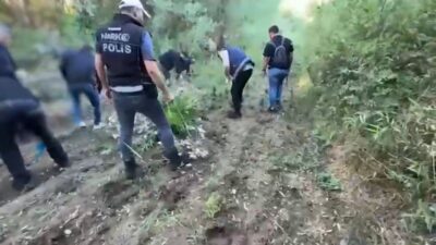 Diyarbakır'da UNESCO Dünya Mirası Listesi'nde bulunan Hevsel Bahçeleri'ne uyuşturucu operasyonu