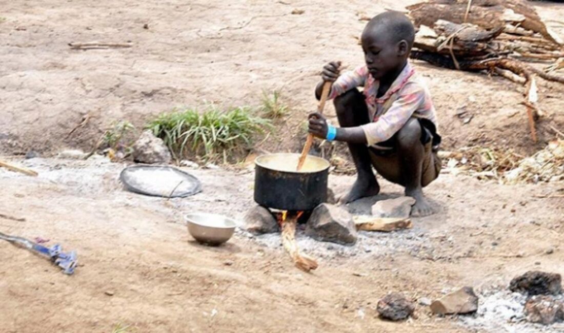 Afrika kıtası, geniş ve verimli tarım arazilerine sahip olmasına rağmen
