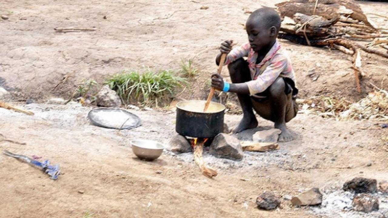 Afrika kıtası, geniş ve verimli tarım arazilerine sahip olmasına rağmen