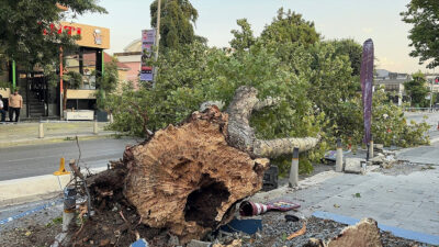 Meteorolojinin uyarılarının ardından İstanbul’da fırtına etkili oldu. Bazı ilçelerde çatılar