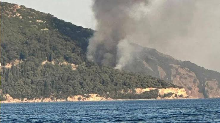 İstanbul’un Adalar ilçesi Büyükada’da bulunan Viranbağ Plajı’nda çıkan yangın paniğe