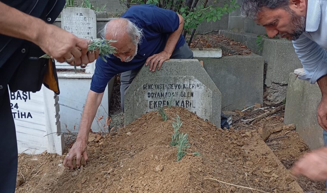 Türkiye Yazarlar Birliği (TYB) İstanbul Şubesi Yönetim Kurulu Üyesi ve