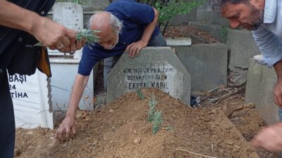 Türkiye Yazarlar Birliği (TYB) İstanbul Şubesi Yönetim Kurulu Üyesi ve